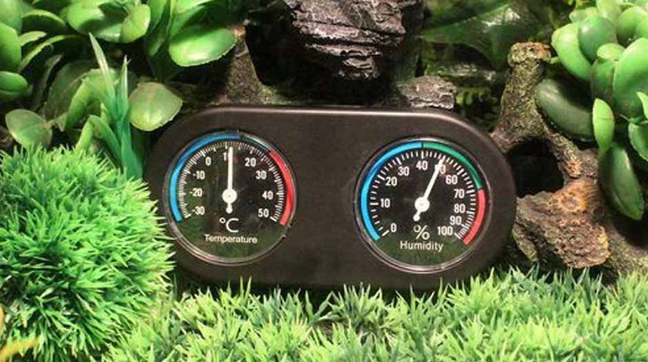 best thermometer hygrometer
