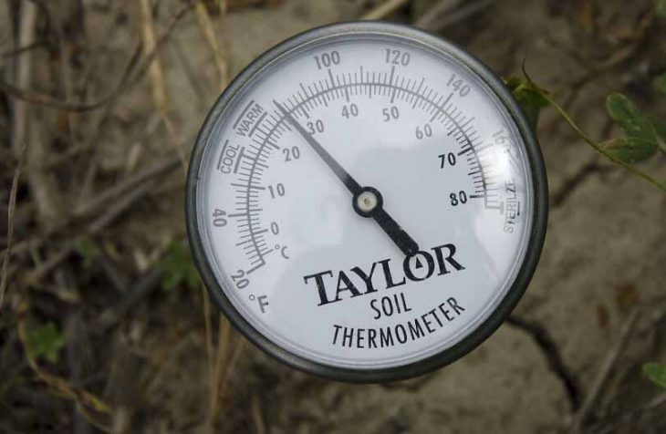 best soil thermometer