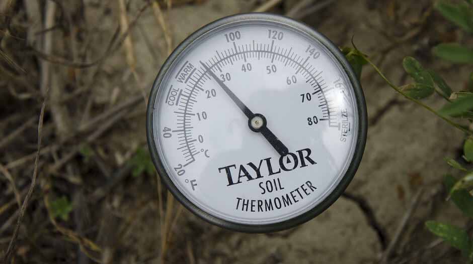 best soil thermometer